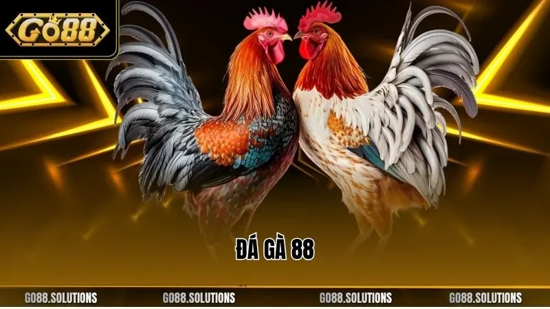 đá gà 88